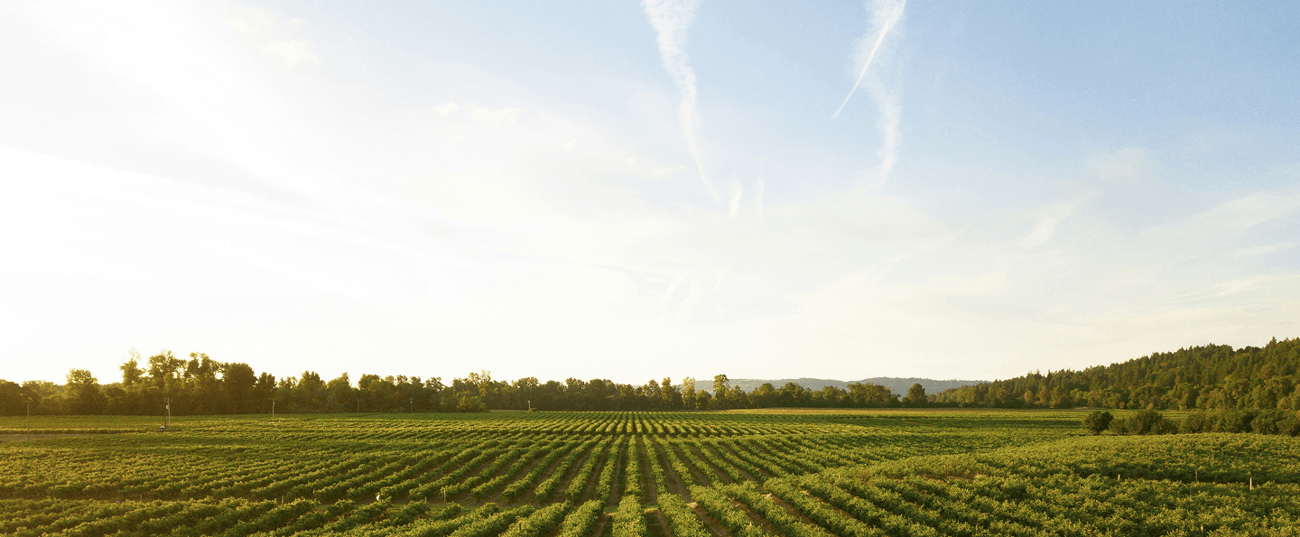 CROPPSA Agricultural Field Background